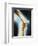 Knee X-ray-null-Framed Photographic Print