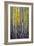 Kneeling Aspens-Joe Cornish-Framed Giclee Print