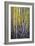 Kneeling Aspens-Joe Cornish-Framed Giclee Print