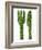 Knife and Fork in Cress-Kröger & Gross-Framed Photographic Print