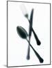 Knife, Fork and Spoon, Blurry-Hermann Mock-Mounted Photographic Print