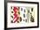 Knife Thrower-Henri Matisse-Framed Art Print