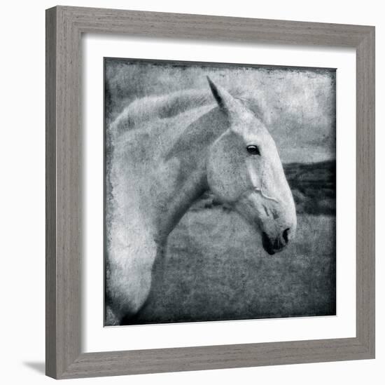 Knight's Steed-Pete Kelly-Framed Giclee Print