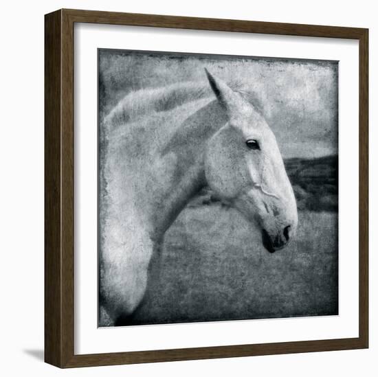 Knight's Steed-Pete Kelly-Framed Giclee Print