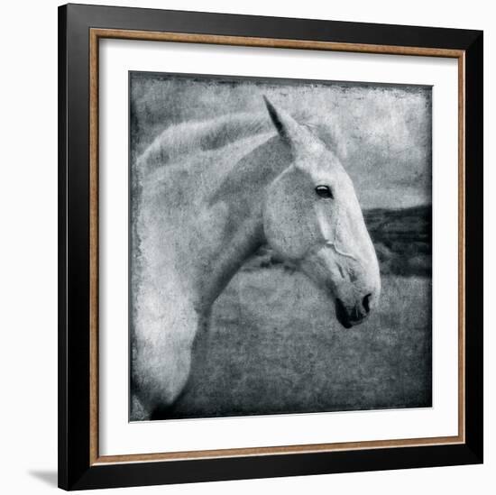 Knight's Steed-Pete Kelly-Framed Giclee Print