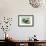 Knob-Billed Ducks-Louis Agassiz Fuertes-Framed Art Print displayed on a wall
