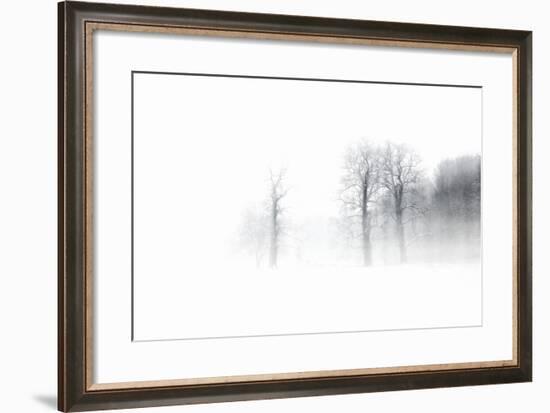 Knobby Oaks in the Blizzard, Abstract Study, Colours and Contrast Digitally Enhanced-Andreas Vitting-Framed Photographic Print
