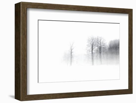 Knobby Oaks in the Blizzard, Abstract Study, Colours and Contrast Digitally Enhanced-Andreas Vitting-Framed Photographic Print