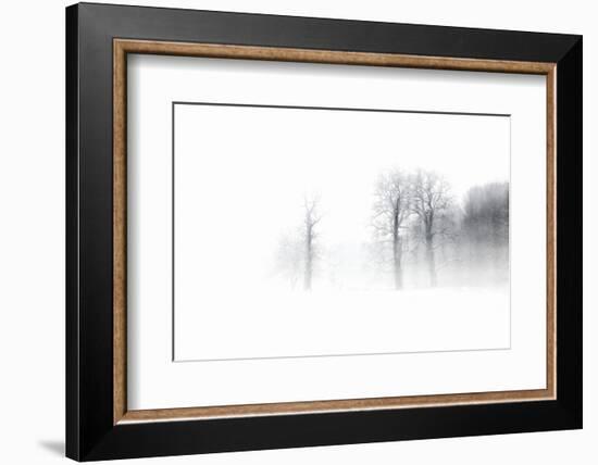 Knobby Oaks in the Blizzard, Abstract Study, Colours and Contrast Digitally Enhanced-Andreas Vitting-Framed Photographic Print