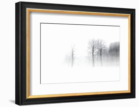 Knobby Oaks in the Blizzard, Abstract Study, Colours and Contrast Digitally Enhanced-Andreas Vitting-Framed Photographic Print