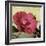 Knock Out Rose-Herb Dickinson-Framed Photographic Print