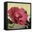 Knock Out Rose-Herb Dickinson-Framed Premier Image Canvas