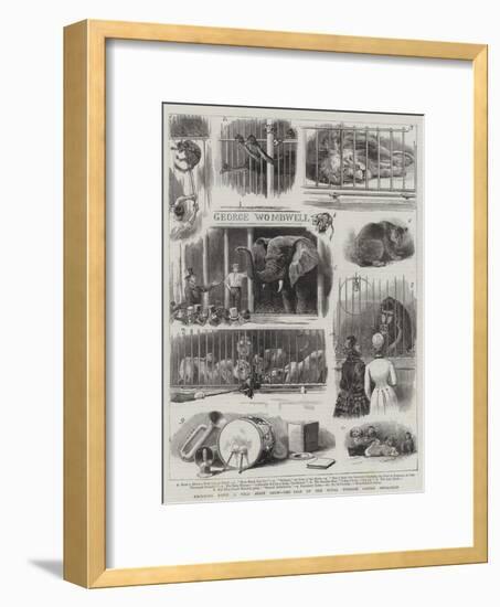 Knocking Down a Wild Beast Show, the Sale of the Royal Windsor Castle Menagerie-null-Framed Giclee Print