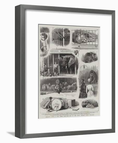 Knocking Down a Wild Beast Show, the Sale of the Royal Windsor Castle Menagerie-null-Framed Giclee Print