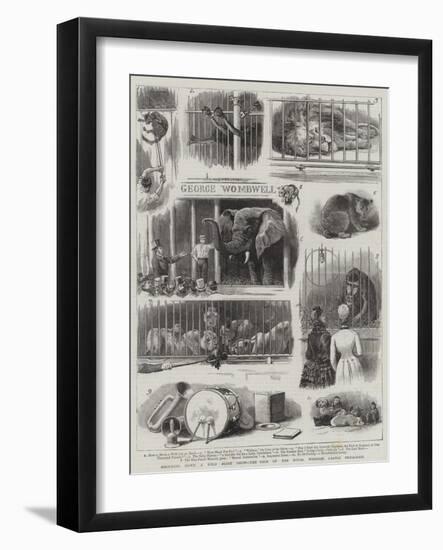 Knocking Down a Wild Beast Show, the Sale of the Royal Windsor Castle Menagerie-null-Framed Giclee Print