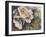 Knockout Roses-Sarah Davis-Framed Giclee Print