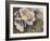 Knockout Roses-Sarah Davis-Framed Giclee Print