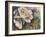 Knockout Roses-Sarah Davis-Framed Giclee Print