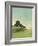 Knoll View 2-David Edwards-Framed Art Print