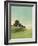 Knoll View 2-David Edwards-Framed Art Print