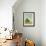 Knoll View 2-David Edwards-Framed Art Print displayed on a wall