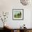 Knoll View 3 Square-DB Edwards-Framed Art Print displayed on a wall