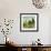 Knoll View 3 Square-DB Edwards-Framed Art Print displayed on a wall