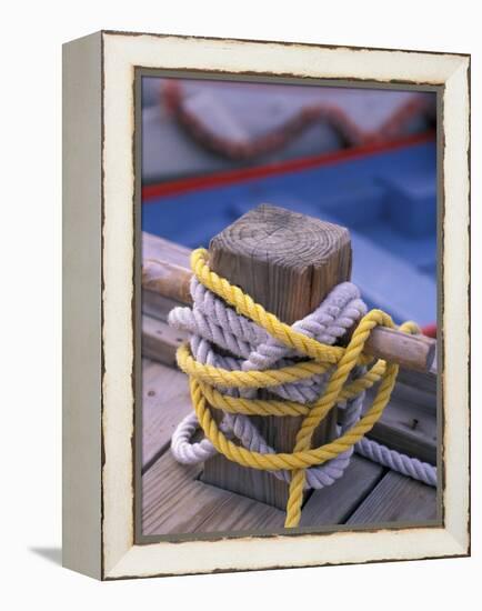 Knots Around Post, St. Thomas, Caribbean-Robin Hill-Framed Premier Image Canvas