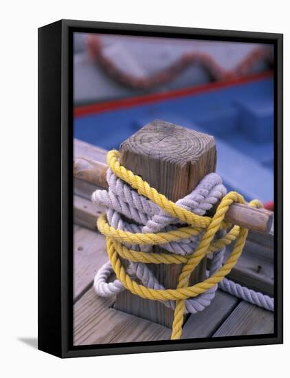 Knots Around Post, St. Thomas, Caribbean-Robin Hill-Framed Premier Image Canvas