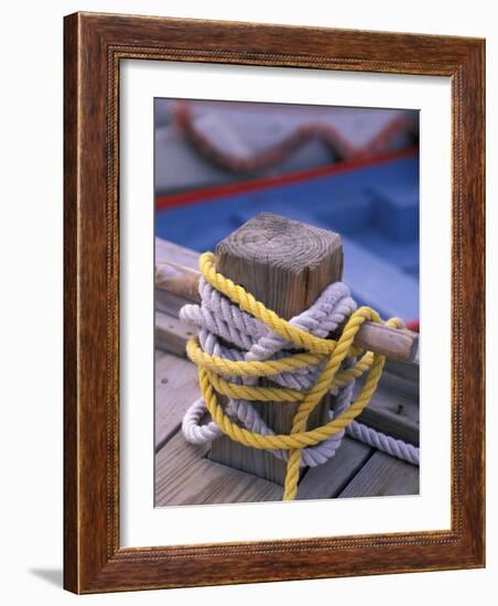 Knots Around Post, St. Thomas, Caribbean-Robin Hill-Framed Photographic Print