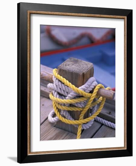 Knots Around Post, St. Thomas, Caribbean-Robin Hill-Framed Photographic Print