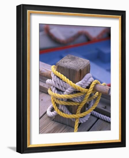 Knots Around Post, St. Thomas, Caribbean-Robin Hill-Framed Photographic Print