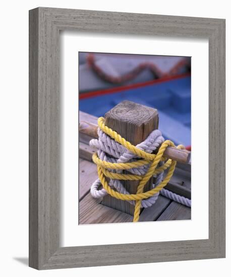 Knots Around Post, St. Thomas, Caribbean-Robin Hill-Framed Premium Photographic Print