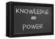 Knowledge Is Power-IJdema-Framed Stretched Canvas