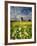 Knowlton Church, Dorset, UK, with Cloudy Sky, Summer 2007-Ross Hoddinott-Framed Photographic Print