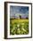 Knowlton Church, Dorset, UK, with Cloudy Sky, Summer 2007-Ross Hoddinott-Framed Photographic Print