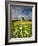 Knowlton Church, Dorset, UK, with Cloudy Sky, Summer 2007-Ross Hoddinott-Framed Photographic Print