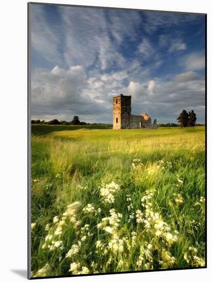 Knowlton Church, Dorset, UK, with Cloudy Sky, Summer 2007-Ross Hoddinott-Mounted Photographic Print
