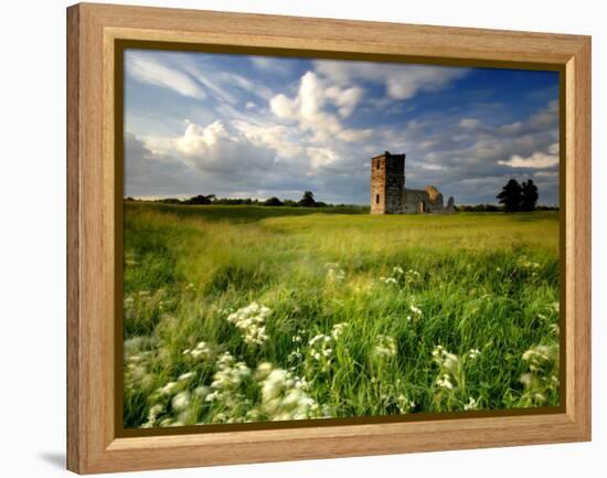 Knowlton Church, Dorset, UK-Ross Hoddinott-Framed Premier Image Canvas