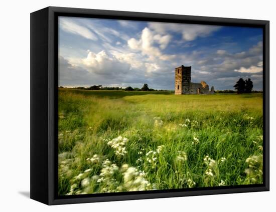 Knowlton Church, Dorset, UK-Ross Hoddinott-Framed Premier Image Canvas