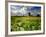 Knowlton Church, Dorset, UK-Ross Hoddinott-Framed Photographic Print