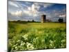 Knowlton Church, Dorset, UK-Ross Hoddinott-Mounted Photographic Print