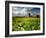 Knowlton Church, Dorset, UK-Ross Hoddinott-Framed Photographic Print