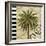 Knox Palm Tree I-Paul Brent-Framed Art Print