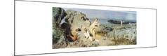 Giclee Print