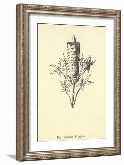Knutmigrata Simplice-Edward Lear-Framed Giclee Print