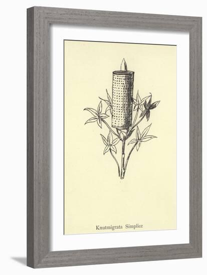 Knutmigrata Simplice-Edward Lear-Framed Giclee Print