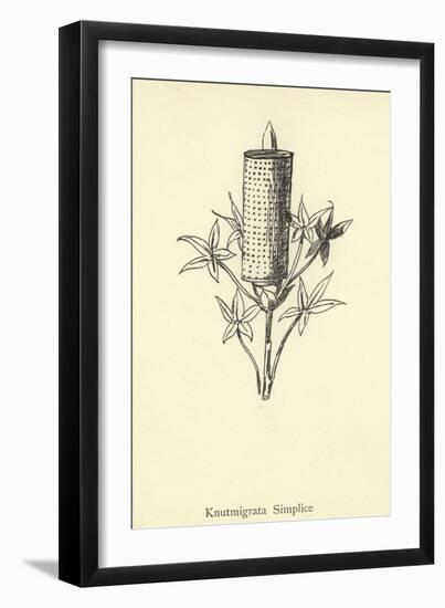 Knutmigrata Simplice-Edward Lear-Framed Giclee Print