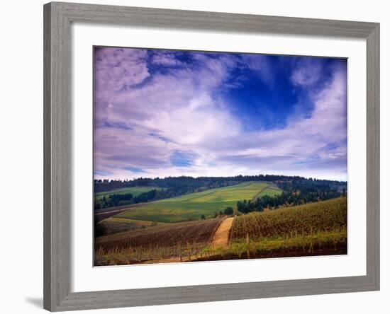 Knutsen Vineyard in the Red Hills of the Willamette Valley, Oregon, USA-Janis Miglavs-Framed Photographic Print