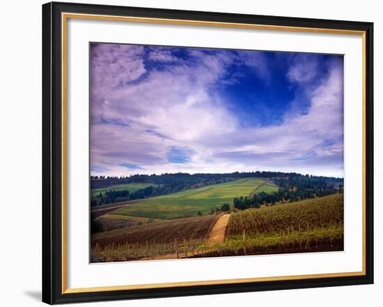 Knutsen Vineyard in the Red Hills of the Willamette Valley, Oregon, USA-Janis Miglavs-Framed Photographic Print